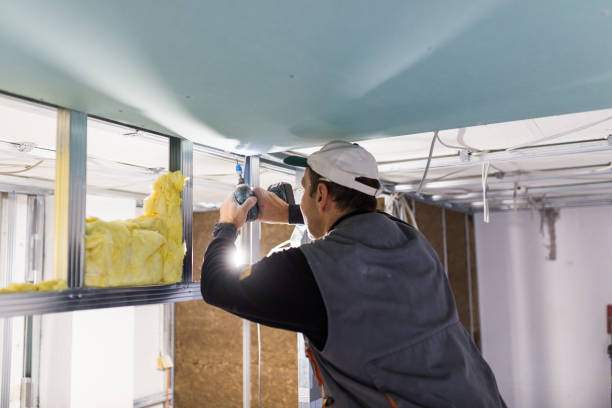 Best Energy-Efficient Insulation  in Bedford, IA